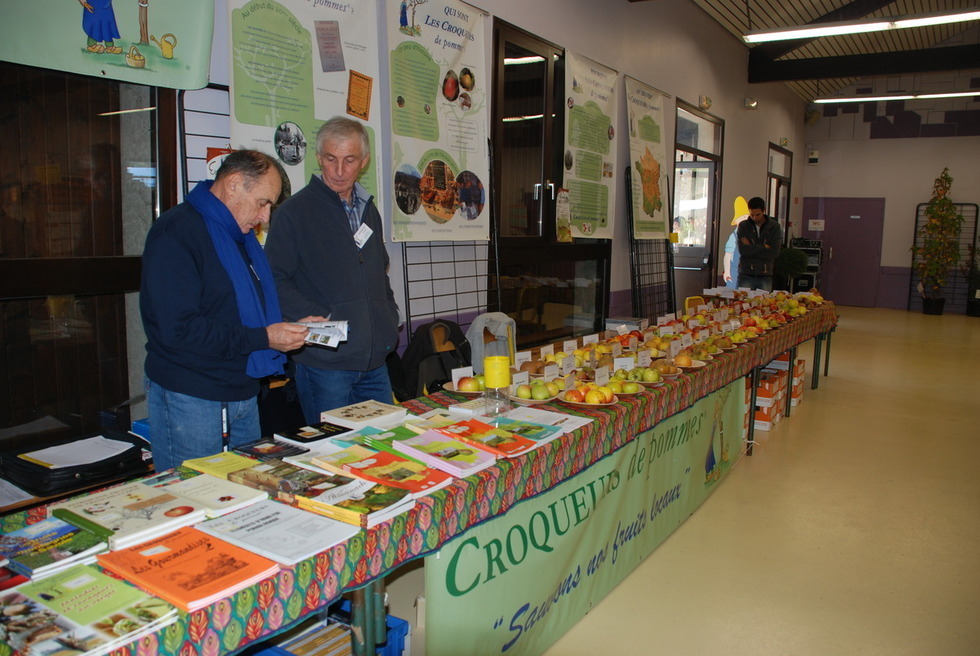 Stand associatif et semences