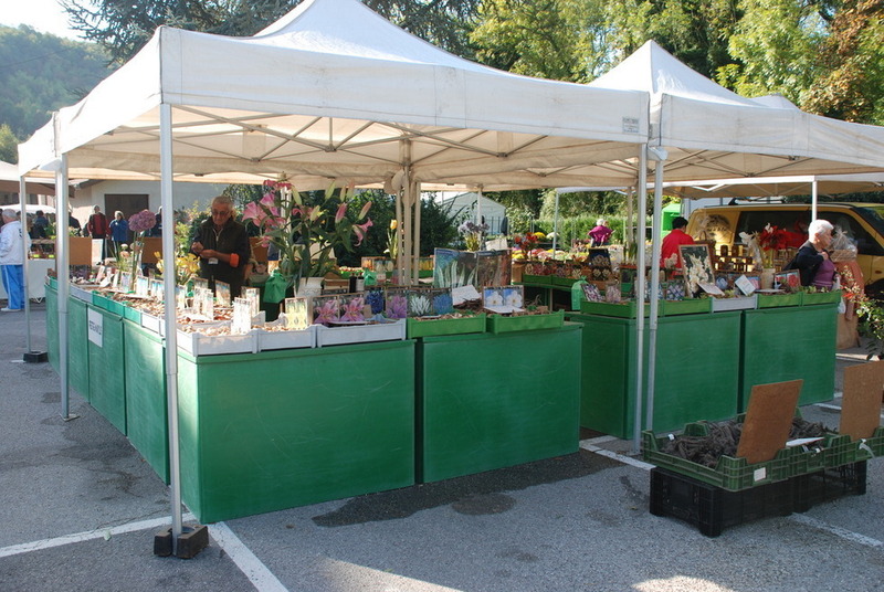 Stand de producteurs végétaux